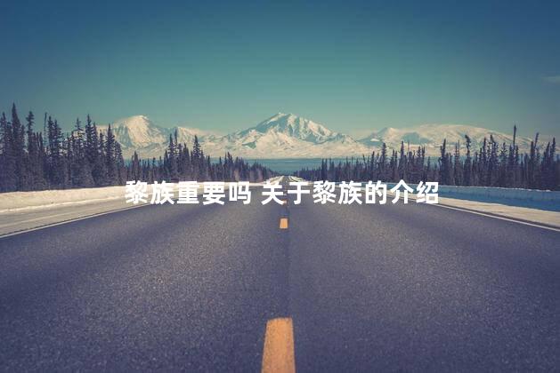 黎族重要吗 关于黎族的介绍